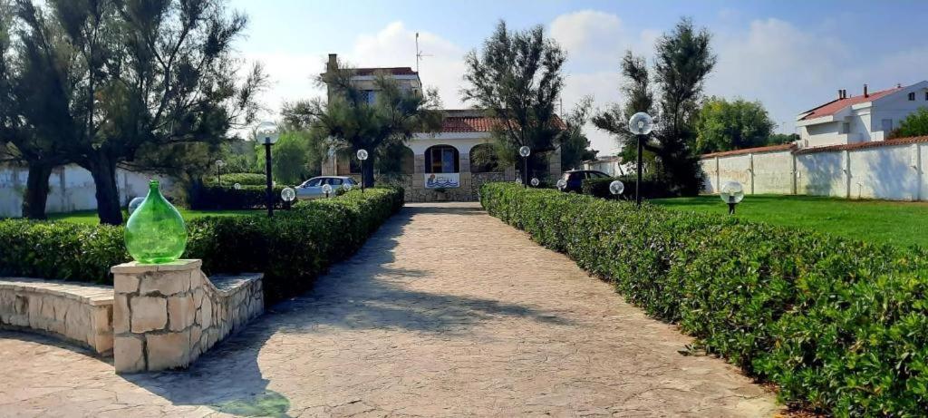 San Domenico Bed And Breakfast ตอร์เร อา มาเร ภายนอก รูปภาพ